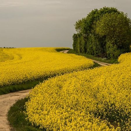 Eco Gite Argonne, Gite Insolite Lisle-en-Barrois Екстериор снимка